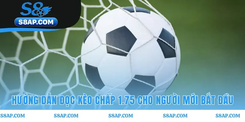 Đọc kèo chấp 1.75 qua bốn kịch bản thắng thua đặc trưng