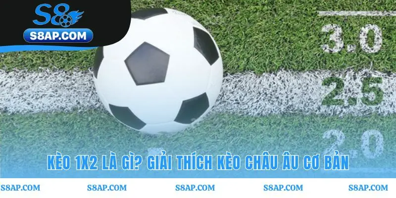 Kèo 1x2 tập trung vào ba kết quả cuối cùng thắng hòa thua