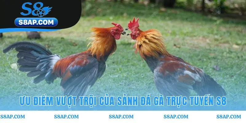 Sảnh game nổi bật với livestream HD và hệ thống trả thưởng tự động