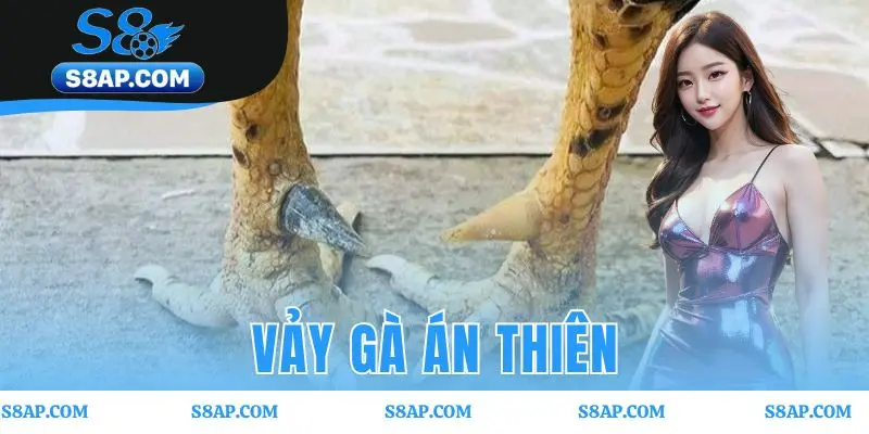 Vảy gà án thiên